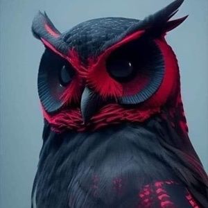 Meet your Posher, Jade